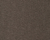 Ковролин Best Wool Essence (Tasman) 169 от магазина  Carpet-Center.ru
