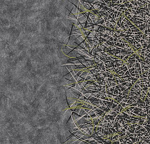 Флокированное ковровое покрытие Forbo Flotex by Starck 312005 Vortex chartreuse A2 от магазина  Carpet-Center.ru
