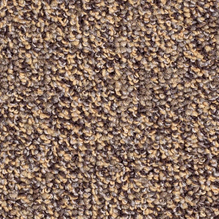 картинка Ковролин Balsan Centaure Deco 778 Ecureuil магазин  Carpet-Center.ru являющийся официальным дистрибьютором в России